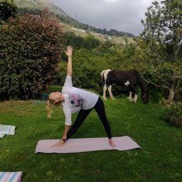 yoga-caballos